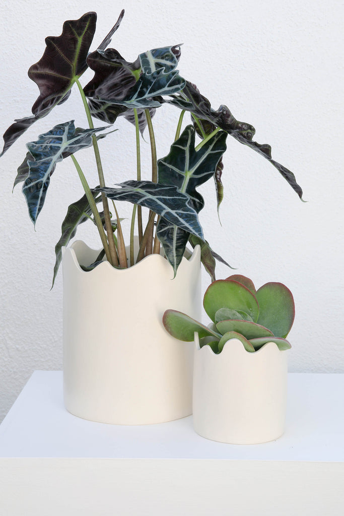 wavy plant pot WAVY POT – Ümlaut Ceramics