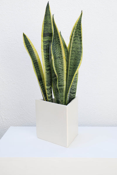 WHITE TRIANGLE TABLE POT